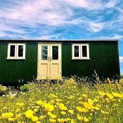 Bathsheba, Luxurious Shepherds Hut set in Todber a hamlet set in Thomas Hardy's iconic rural Dorset