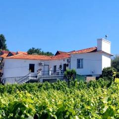 Casa Cecí Douro