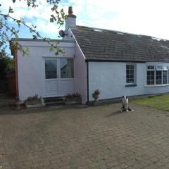 The Cwtch