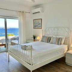 Seaview Beach Apartment Dasoudi