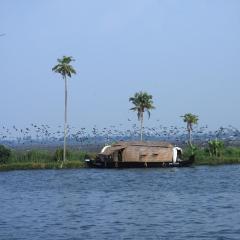 Abad Premium House Boat