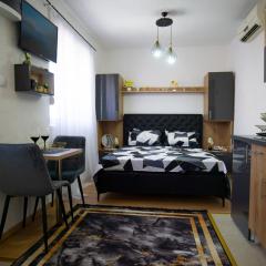 Luxury Apartment Milićević 2
