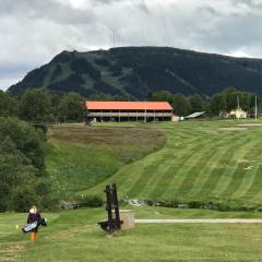 Ljusnedal lägenhet med golf, paddel, fiske och skidåkning