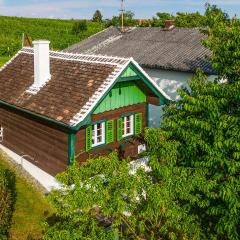 Nice Home In Deutsch Schtzen With House A Panoramic View