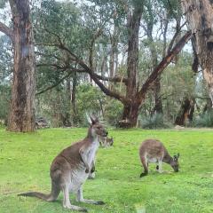 La cachette bushland hideaway