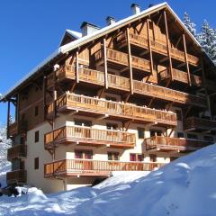 Apartment on the slopes in the big ski area Grandes Rousses
