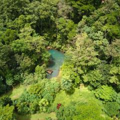 Santuario de Ranas - Explora nuestro paraíso natural