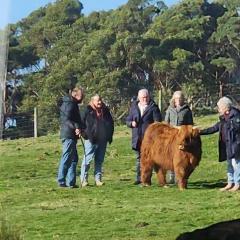 Ruby's Cottage Farm Stay