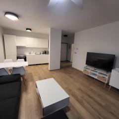 2 room Apartment, with terrace, Rovinka 203