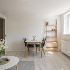 Newly renovated 1-Bed Apartment in Aalborg