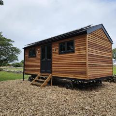 Woodland Shephards Hut - 'Aristocrat'