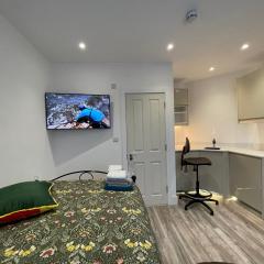 Luxury Rooms with En-suite bathrooms - West London