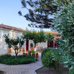 Mediterranean house with beautiful garden