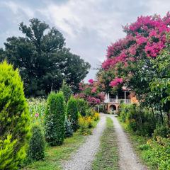 Guesthouse Kamelia