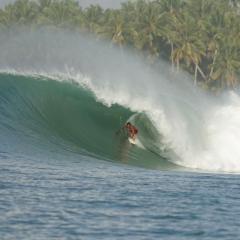 Lilys Nias Surf Camp