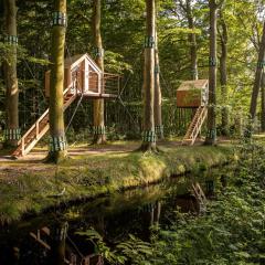 Treehouse 'Morgenrood' Ryckevelde 1451