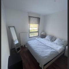 Chambre chez l’habitant à Strasbourg