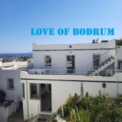 Love of Bodrum House