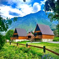 Hillside Kazbegi