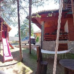 Vila MINA