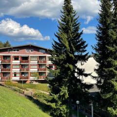 Apartment App- 2411 - Kurhotel Schluchsee - SSE610 by Interhome