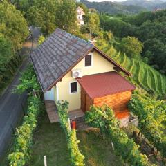 Adorable guesthouse in the middle of vineyards