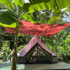 Glamping Uvita River