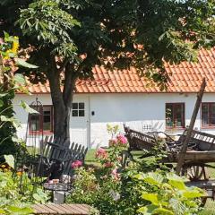 Norrekås Beach Studios