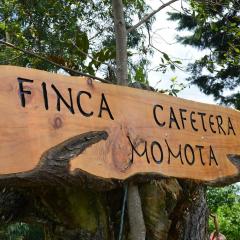 Finca Momota Salento