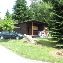 Nice house with sauna and steam bath in a forest