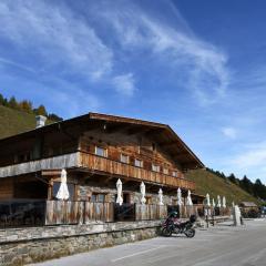 New holiday home on the Alm with terrace and balcony