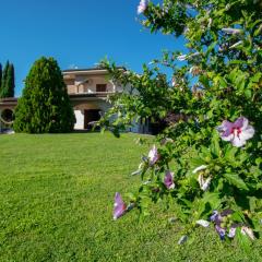 La Villa dei Tartufi - B&B