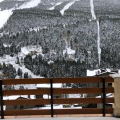 SOLDEU- EXCLUSIVO APARTAMENTO 130 M2 HASTA 10 PERSONAS CON PRECIOSAS VISTAS A PISTAS DE SKi