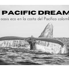 Pacific Dream Hostal