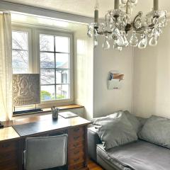 Zurich 2 rooms full lakeview, unique historic house share bath 40 m2