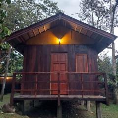 Jungle Zen Janda Baik Campsite