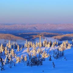 Sjusjøen Hytteutleie AS