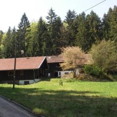 Gemütliches Ferienhaus in Haberbühl mit Großer Terrasse