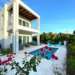 Gracehaven Villas -Choose you own private villa with pool - 250 yds to Grace Bay beach