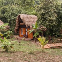 Ecohab - Ciudad perdida