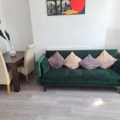 Cosy 1 Bedroom Flat-Newport (F2)