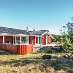 4 Bedroom Pet Friendly Home In Fjerritslev