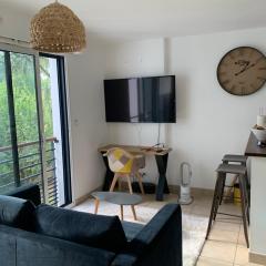 Appartement cosy jardin des plantes avec parking