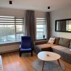 Beautiful flat in downtown Reykjavík with a veiw