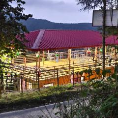 hotel chakrata green and camping