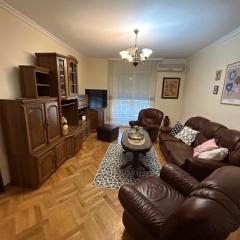 Central apartment Zemun