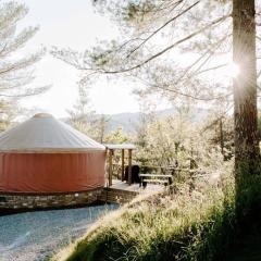 Santeetlah @ Sky Ridge Yurts