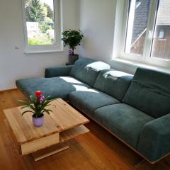 Cosy Apartment next to the center of Graz