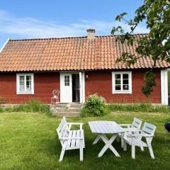 Nice holiday home on Oland with grazing sheep in the surroundings