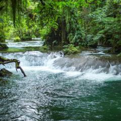 Stay at Eden on the River